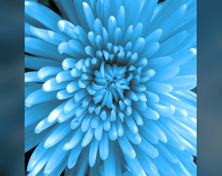 Couverture de Demon Slayer - Fleur du mal